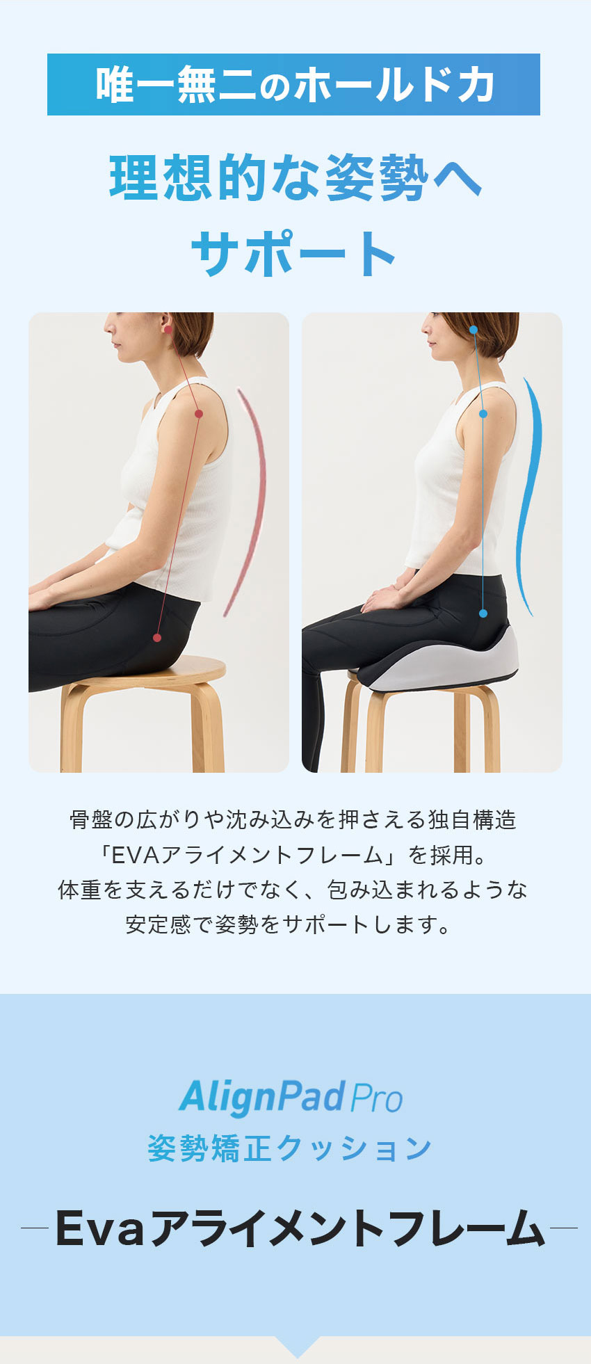 アラインパッド プロ | vibiby